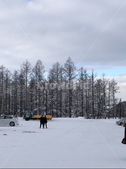 식물,plant,tree,나무,사람,인간,겨울,눈,산,풍경,겨울풍경,winter,sapporo,겨울,계절,winter,season
