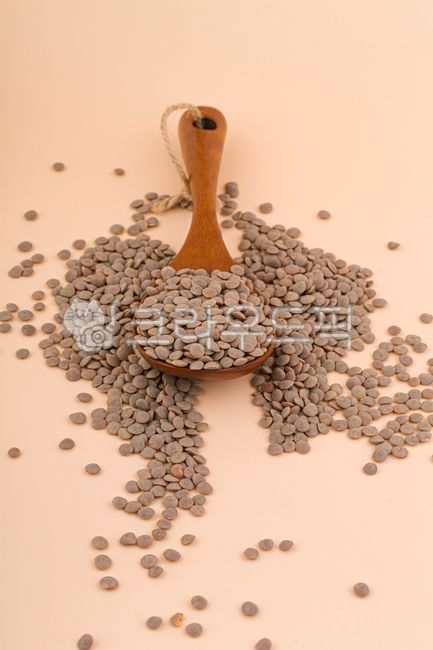 렌틸콩,콩,곡식,곡류,단백질,식이섬유,렌즈콩,슈퍼푸드,저속노화