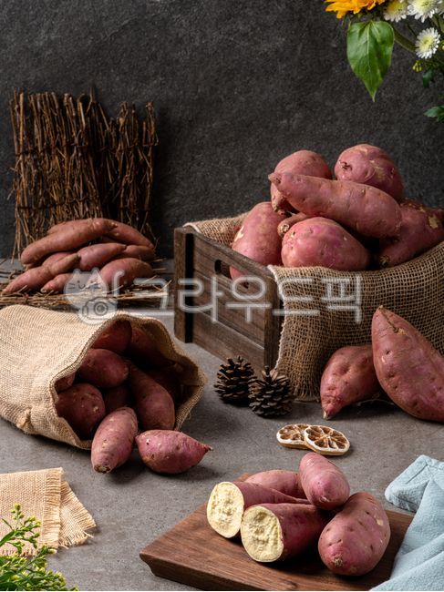 chestnut sweet potato,sweet potato,Haenam Sweet Potato,Sweet Potato Dishes,Honey sweet potato,Pumpkin Sweet Potato,yellow sweet potato