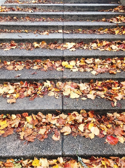 계단,낙엽,단풍,가을,공원,돌계단,가을,계절,fall,autumn,season,leaf,잎,plant,식물,ground,바닥,asphalt,아스팔트