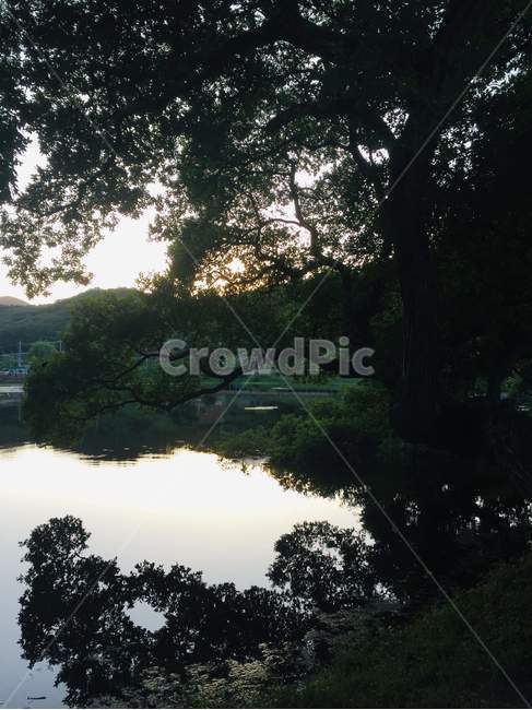 water,물,nature,자연,outdoors,옥외,land,땅,자연,풍경,nature,landscape