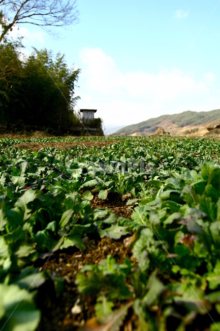 산,풍경,경치,운치,겨울산,정상,산골,시골,landscape,nature,자연