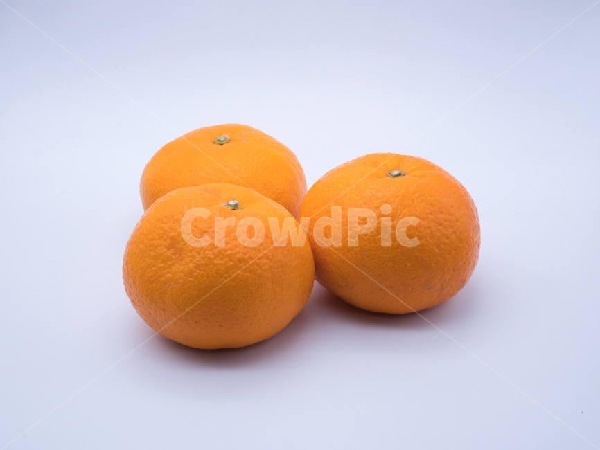 food,음식,citrusfruit,감귤류과일,fruit,orange,주황색,plant,식물,귤,오렌지,과일,겨울,열매,과일,열매,fruit