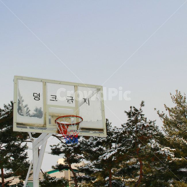 감성사진,풍경,겨울,눈,자연,snow,winter,운동,덩크금지,농구,농구대,골대,겨울,계절,winter,season,스포츠,레저,운동,sports,leisure,exercise