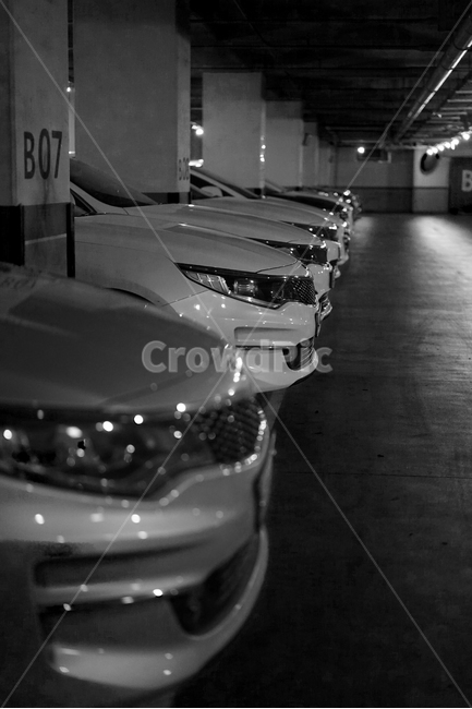 자동차,차,차량,car,교통수단,이동수단,주차장,parking,일렬,차고,흑백,교통,교통수단,traffic,transportation