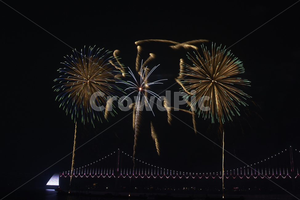 불꽃,불꽃놀이,부산불꽃축제,폭죽,부산밤바다,화약,야경,밤,풍경,nightscape,night,landscape,nature,자연,outdoors,옥외