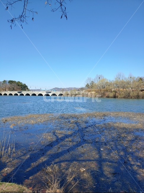 서울대공원,seoulgrandpark,자연,nature,물,water,다리,bridge,옥외,outdoors,하늘,파란색,blue,sky