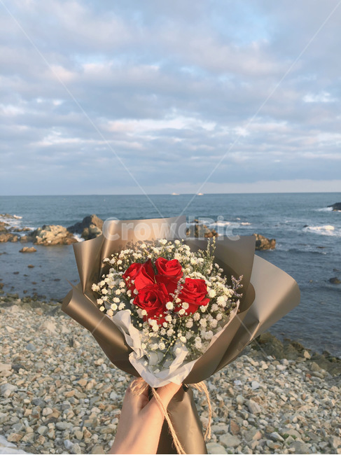 꽃,풍경,바다,하늘,꽃다발,연인,선물,flower,식물,plant,flowerarrangement,blossom