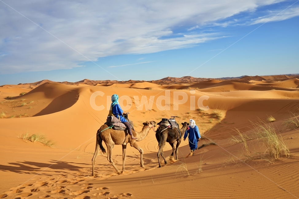 사막,desert,사하라사막,saharadesert,낙타,camel,그림자,shadow,붉은색,red,nature,자연,outdoors,옥외,sand,모래,dune,모래언덕,sunlight,빛,동물,animal,포유류,mammal,사람,인물,인간,human,person