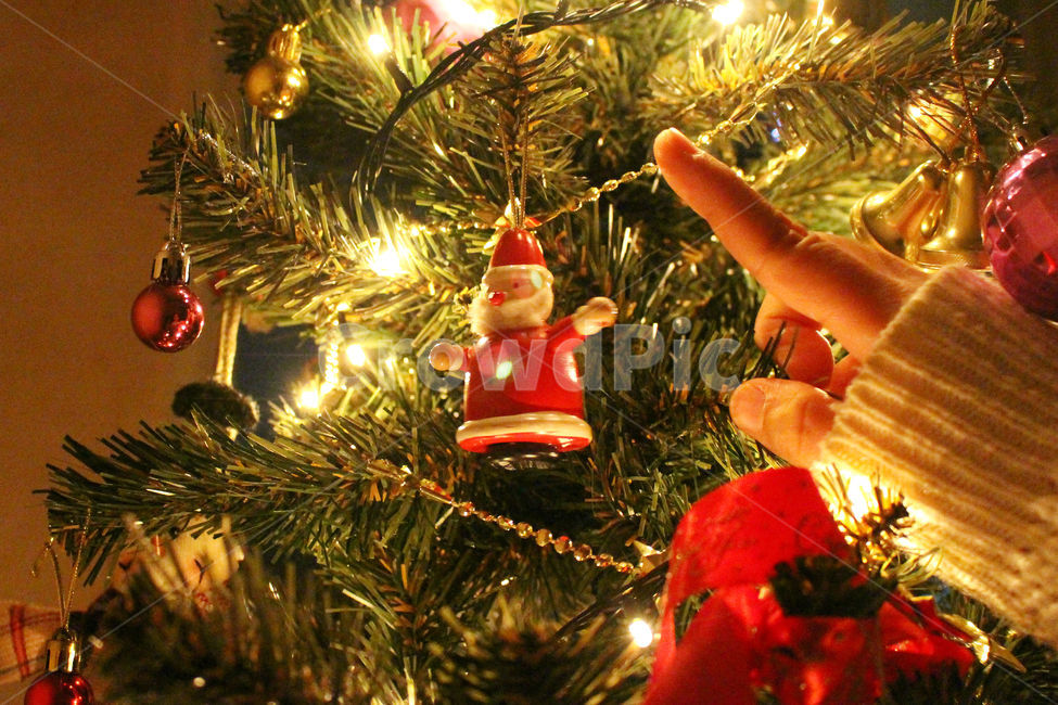 크리스마스,크리스마스트리,크리스마스장식,성탄절,감성사진,christmas,메리크리스마스,빨강,빨간색,초록,초록색,tree,red,green,빛,손,사람,겨울,계절,winter,season,사람,인물,인간,human,person,신체일부,몸,body,기념일,축하,anniversary,congratulation,celebrate,celebration,메리크리스마스,성탄절,merry christmas