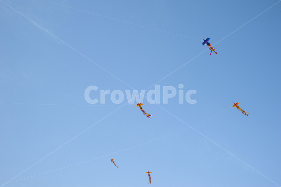 연,하늘,날다,하늘색,kite,sky,fly,blue,free,tail,꼬리,자유,자유로운,배경,background,한국전통,한국문화,korean traditional,korean culture,게임,오락,놀이,game,play