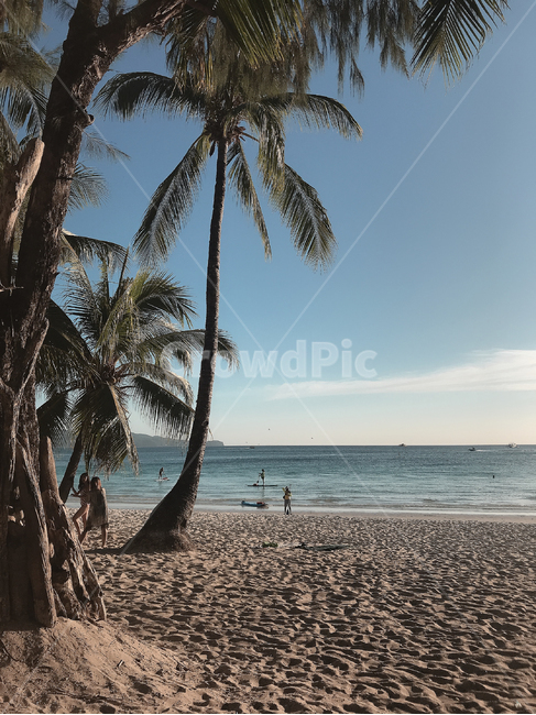 보라카이,tropical,여행,야자수,휴양지,비치,여름,해변