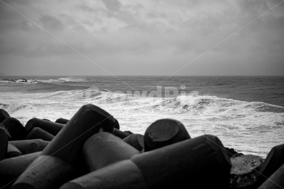 파도,태풍,흑백,바다,백파,흑백사진,높은파도,자연,풍경,nature,landscape,흑백,모노톤,monochrome,black and white,ocean,대양,outdoors,옥외,sea,water,물