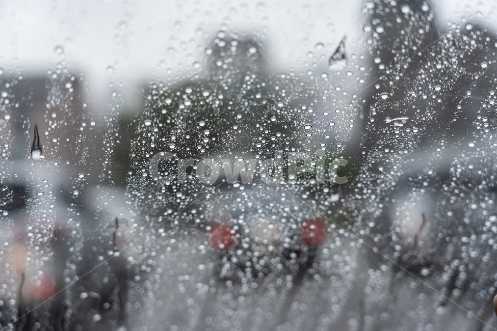 비,빗물,빗방울,창,rain,비,비오는날,rain,rainy