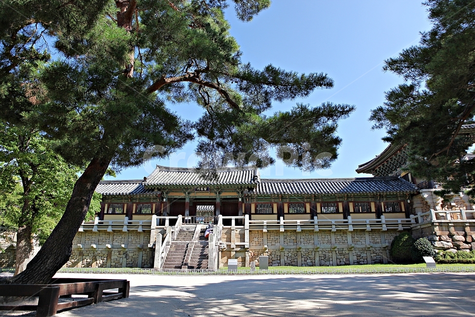 불국사,경주,절,사찰,국보,보물,전통,기와집,집,한옥