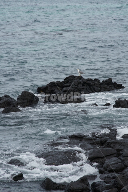 제주도,자연,겨울바다,파도,해변,제주바다,koreanature,wintersea,sea,wave,coast,jejuisland,jeju