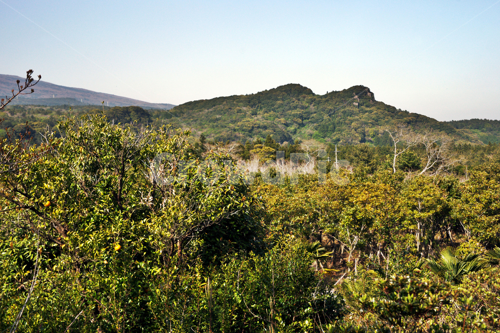 제주,서귀포,올레71코스,올레길,중산간,고근산,자연,풍경,nature,landscape,outdoors,옥외,hill,언덕