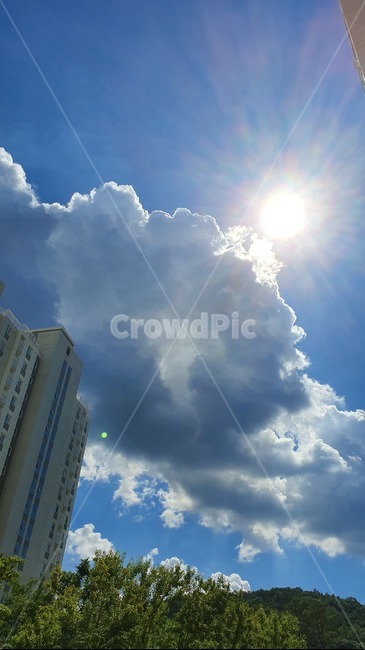 태양,햇빛,flare,플레어,light,빛,자연,날씨,weather,하늘,sky,옥외,outdoors,맑은하늘,자연,풍경,nature,landscape