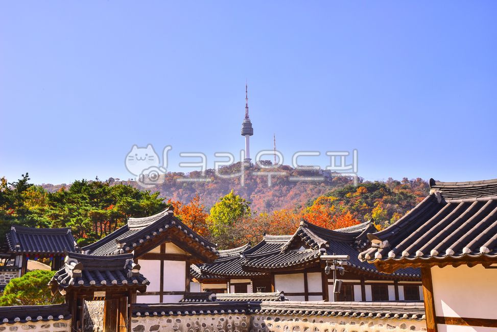 남산골한옥마을,한옥마을,문화유산,한국전통,남산,남산타워,돌담,가을배경,시즌,계절,백그라운드,단풍숲,타워,칼라풀,색감,옥외,자연,숲,가을산,autumn,tower,namsantour,house,건물,집,architecture,건축물,지붕,housing,주택,탑
