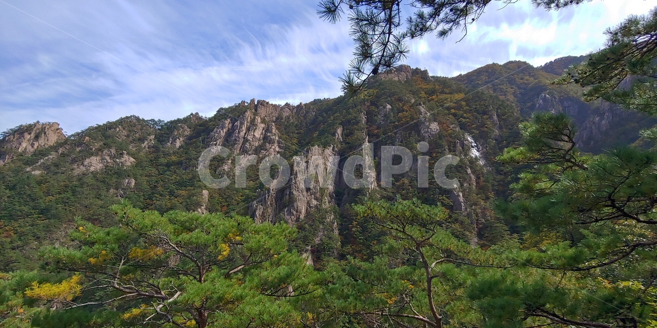 산,나무,자연,경치,풍경,설악산,하늘,등산