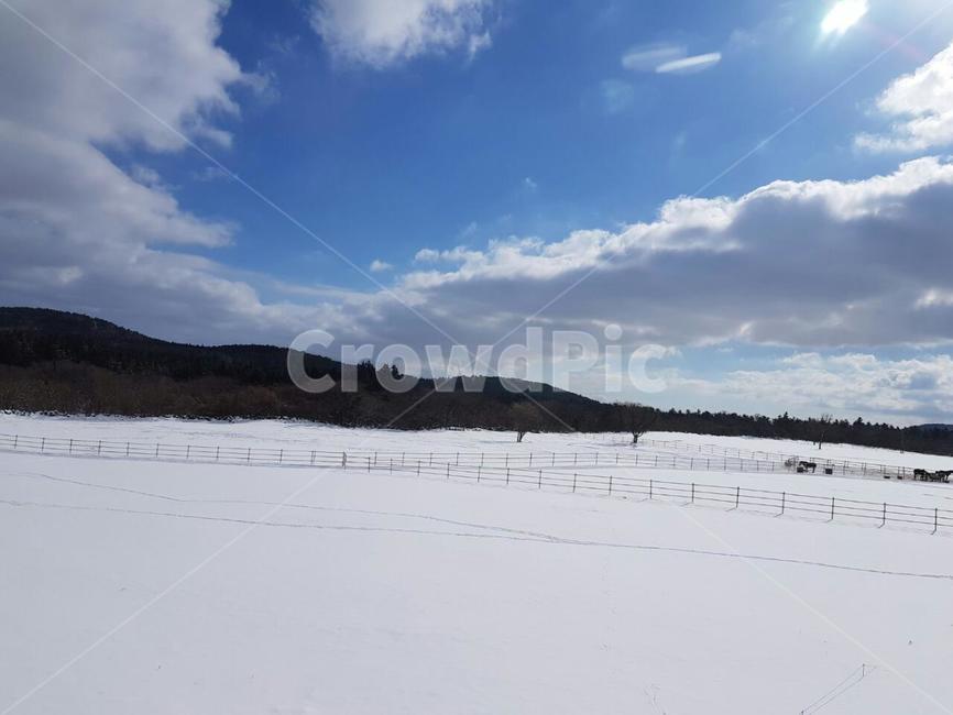 구름,눈,풍경,하늘,제주도,겨울,계절,winter,season,자연,풍경,nature,landscape,outdoors,옥외