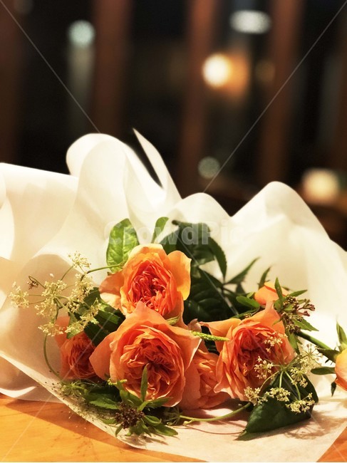장미,plant,식물,blossom,flower,꽃,flowerbouquet,꽃부케,꽃꽂이,고백,부케,꽃다발,코랄색,코랄색장미,식물,자연,plants,nature,꽃,flower