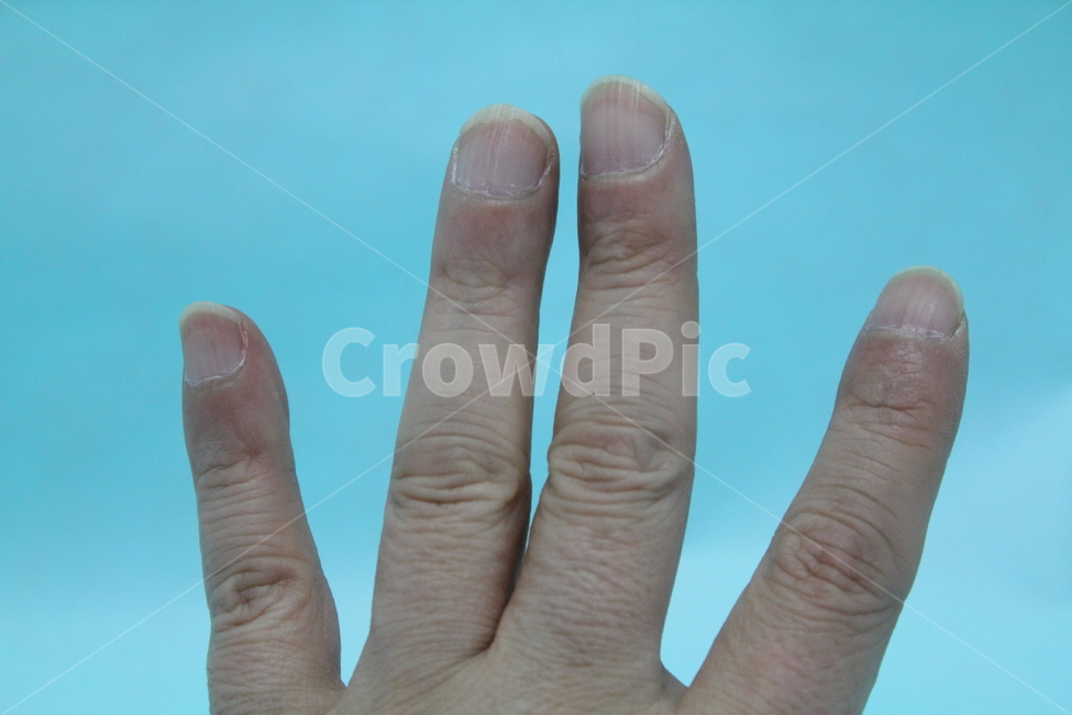손,손가락,손가락모양,손모양,손톱,손등,신체,인체,사람,인물,인간,human,person,신체일부,몸,body