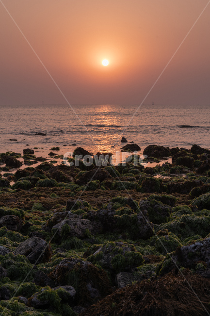 바다,일몰,sunset,노을,윤슬,sea,자연,풍경,nature,landscape