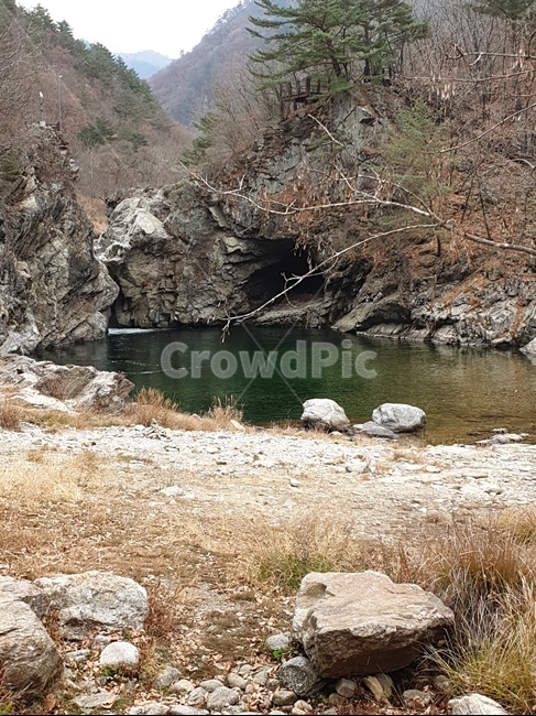 ground,nature,자연,연못,돌
