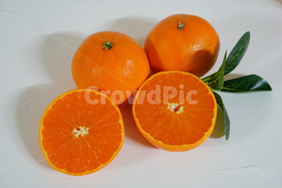 음식,과일,감귤류과일,주황색,천혜향,제주감귤,제주천혜향,food,orange,fruit,음식,식재료,요리,food,cook,meal,dishes,food reserves,과일,열매,fruit