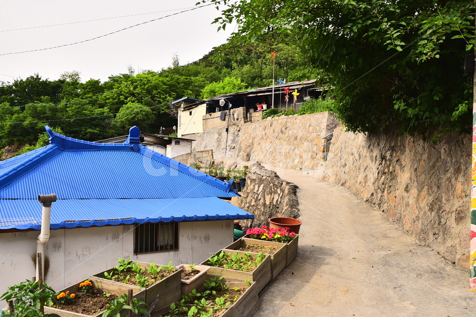 달동네,재개발,가난,빈민촌,판자촌,소외,마을,집,하우스,초라한,poor,poorhillsidevillage,낡은,anoldhouse,old,오래된,세월