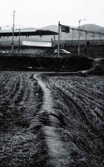 시골,풍경,흑백사진,길,흙,시골,마을,풍경,landscape,country,rural,town,흑백,모노톤,monochrome,black and white