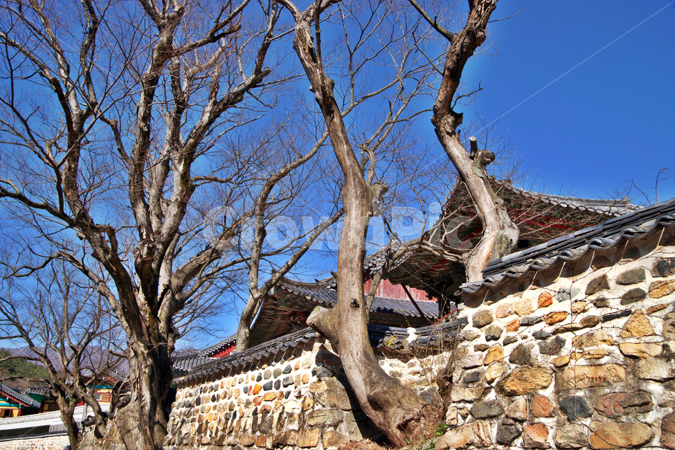 통도사,담,전통,법보사찰,봄,돌담,사찰,한국전통,한국문화,korean traditional,korean culture,건축물,건물외관,exterior,building,structure,architecture,construction