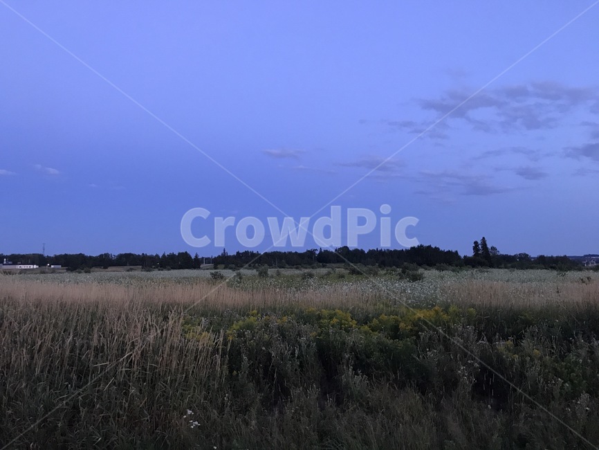 들판,해질녘,하늘,갈대,자연,field,sunset,sky,reed,nature,자연,풍경,nature,landscape,outdoors,옥외,building,건물,architecture,건축물,tower,탑