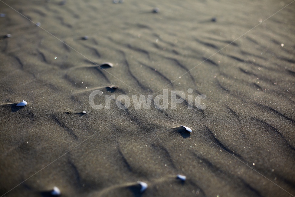 부산,해수욕장,바다,모래,조개,벌판,해변,바다,beach,sea