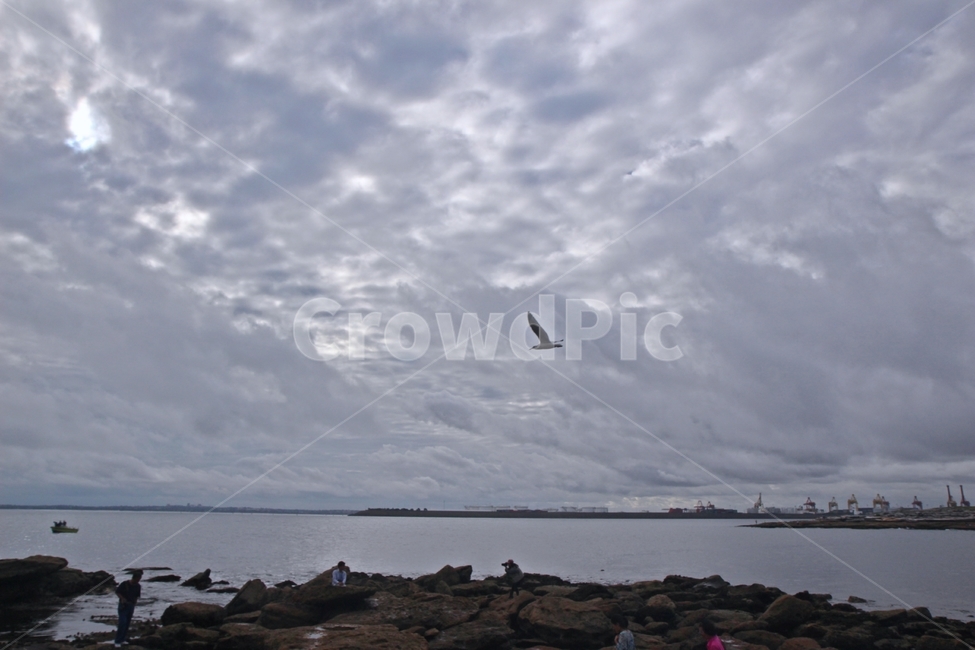시드니,바다,라페루즈,sydney,laperouse,자연,풍경,nature,landscape,해외,외국,세계,foreign,oversea,world,세계자연풍경,해외자연풍경,외국자연풍경,world nature landscape,bird,새,flying,나는,animal,동물,architecture,건축물,building,건물