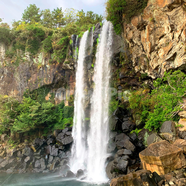 waterfall,폭포,제주도,nature,물,water,outdoors