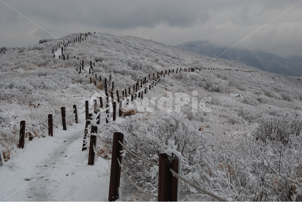 재약산,설경,길,등산로,구름,겨울,계절,winter,season,자연,풍경,nature,landscape,한국자연풍경,한국자연경관,korea nature landscape,outdoors,옥외,ice,빙,snow,눈
