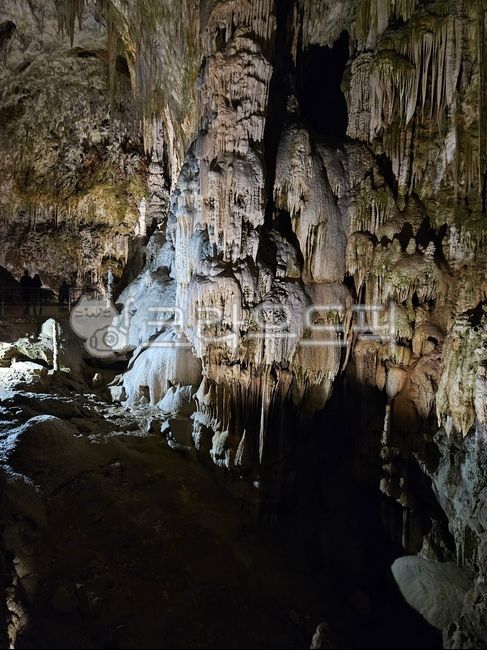 cave,Postojna Cave,nature,lime,karst terrain,Postojna,Slovenian,karst,balkan,llama,balkan peninsula,limestone cave,postoija,Yama Cave,europe