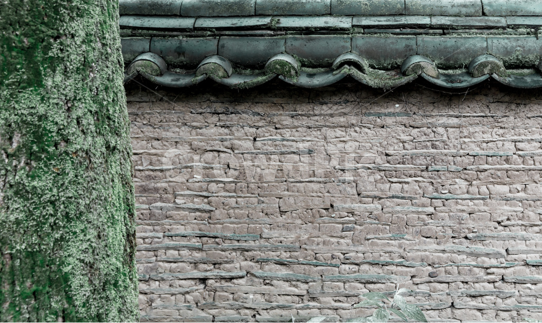 질감,담벼락,흙담,전통,고목,이끼,한국전통,한국문화,korean traditional,korean culture,건축물,건물외관,exterior,building,structure,architecture,construction