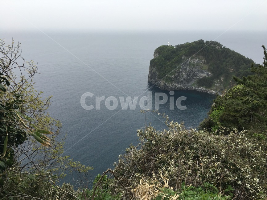 울릉도,산,바다,바위,이쁜,나무,푸른,자연,풍경,nature,landscape,한국자연풍경,한국자연경관,korea nature landscape,outdoors,옥외,land,땅,water,물,shoreline,해안선,sea,ocean,대양,coast,연안