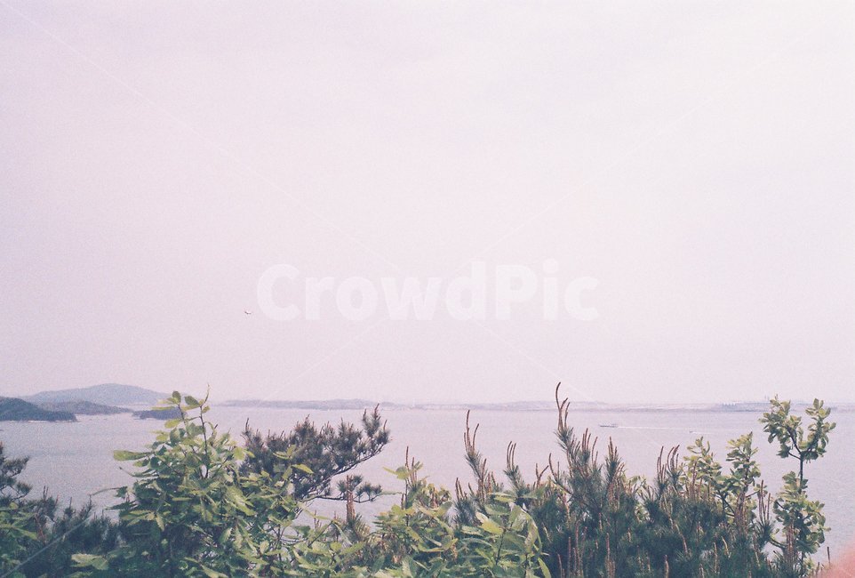 바다,sea,자연,풍경,nature,outdoors,옥외,landscape,섬,island,필름,필름사진,film,자연,풍경,nature,landscape