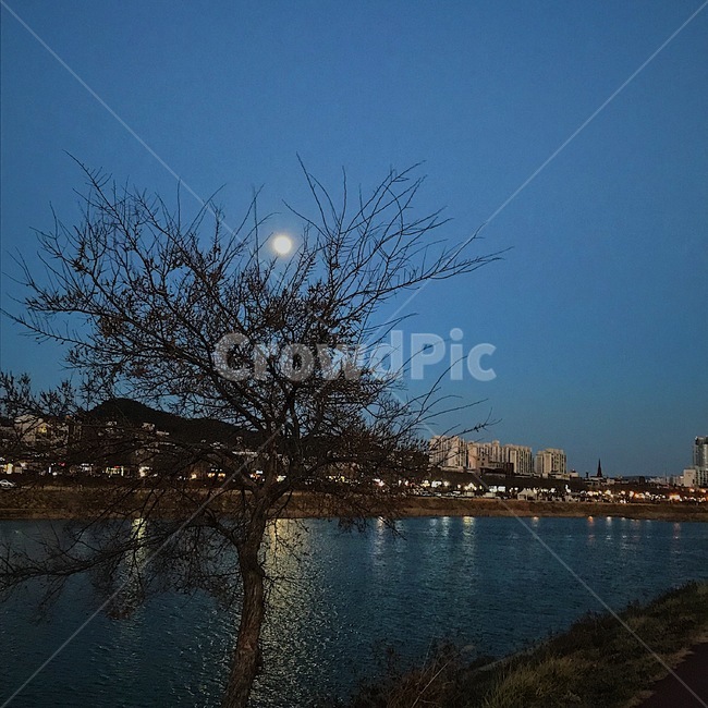 보름달,달,밤,산책,강,야경,밤,풍경,nightscape,night,landscape,도시,city,한국도시풍경,한국도시경관,korea cityscape,water,물,outdoors,옥외,nature,자연