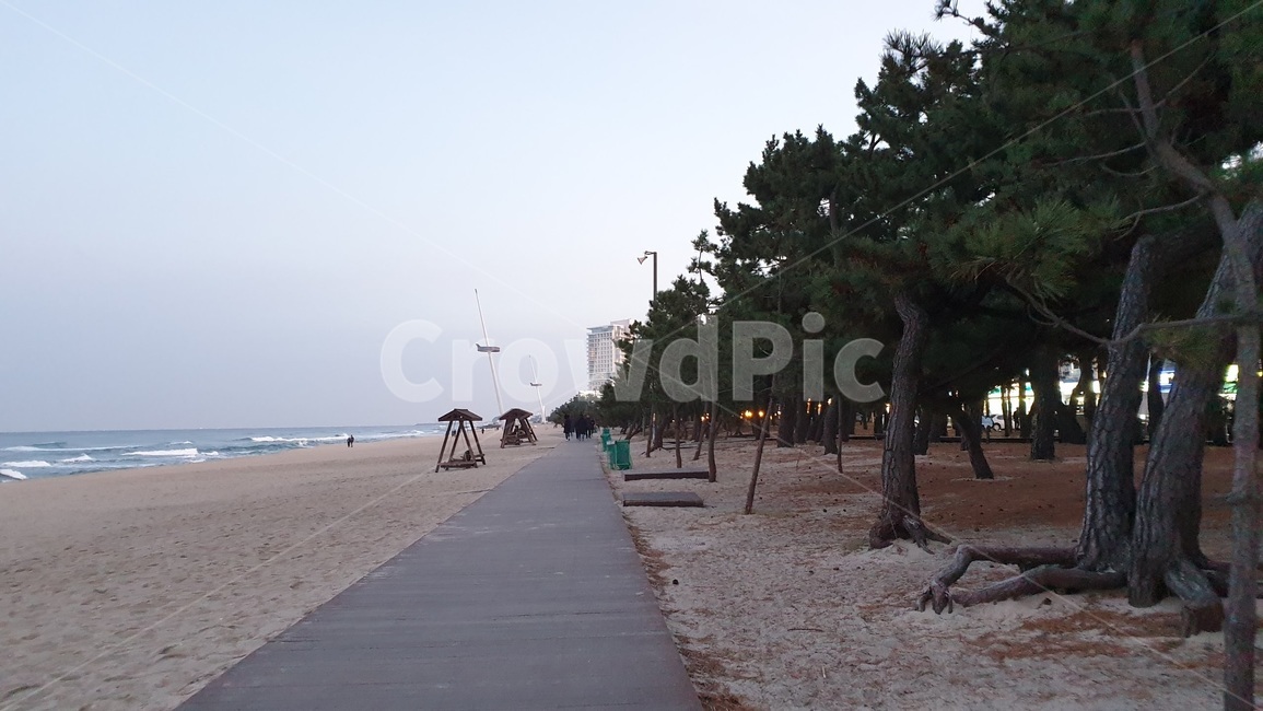 경포해변,gyeingpobeach,경포대,경포대앞,해변