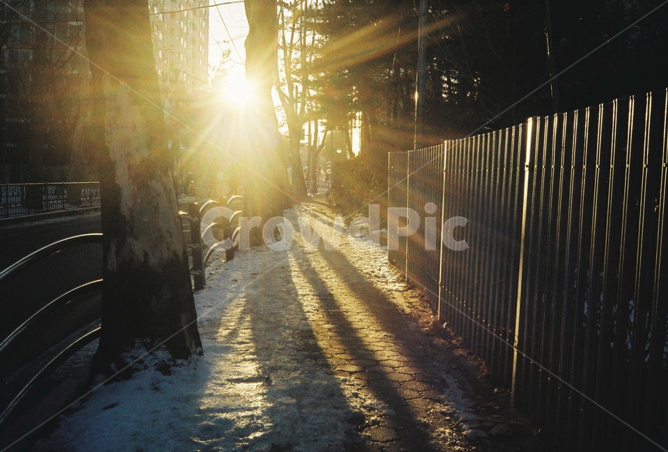 겨울,노을,저녁,햇살,해질녘,감성,동네,겨울,계절,winter,season,골목길,alley,light,빛,flare,플레어,sunlight,햇빛