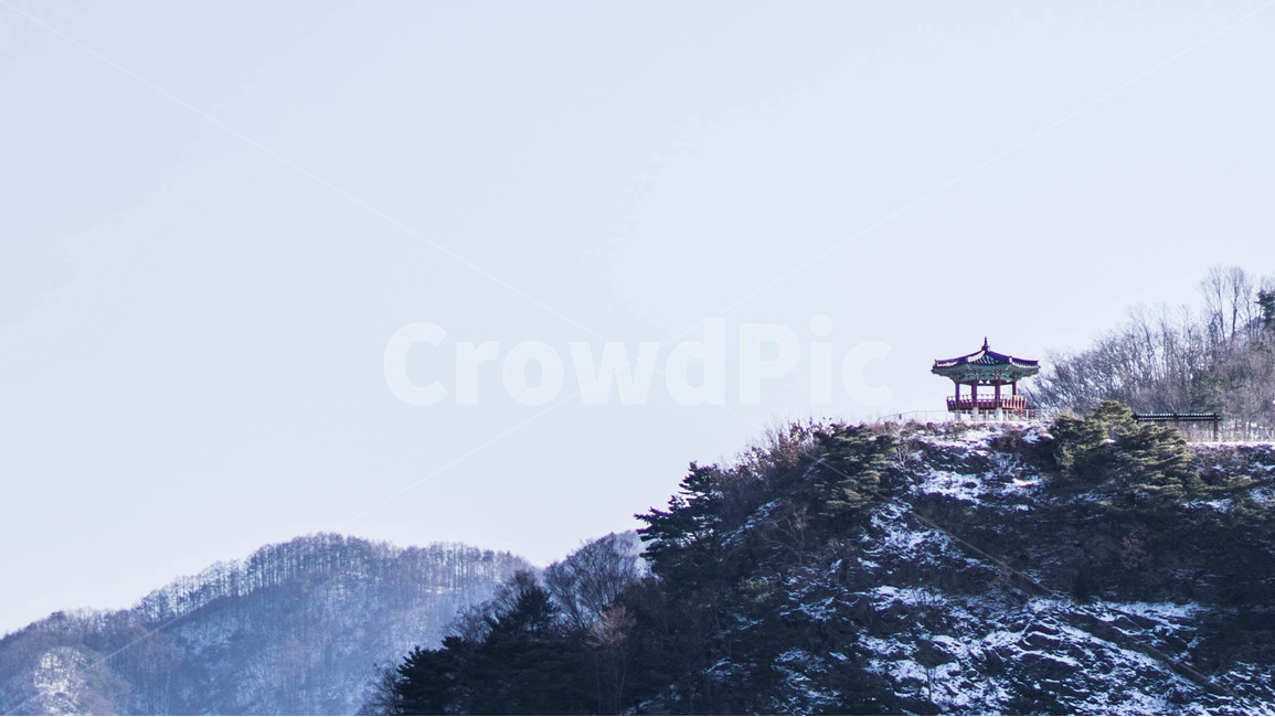 겨울,팔각정,풍경,추운,눈,설경,겨울,계절,winter,season,자연,풍경,nature,landscape,한국자연풍경,한국자연경관,korea nature landscape,tree,나무,plant,식물,abies,아비,fir,전나무