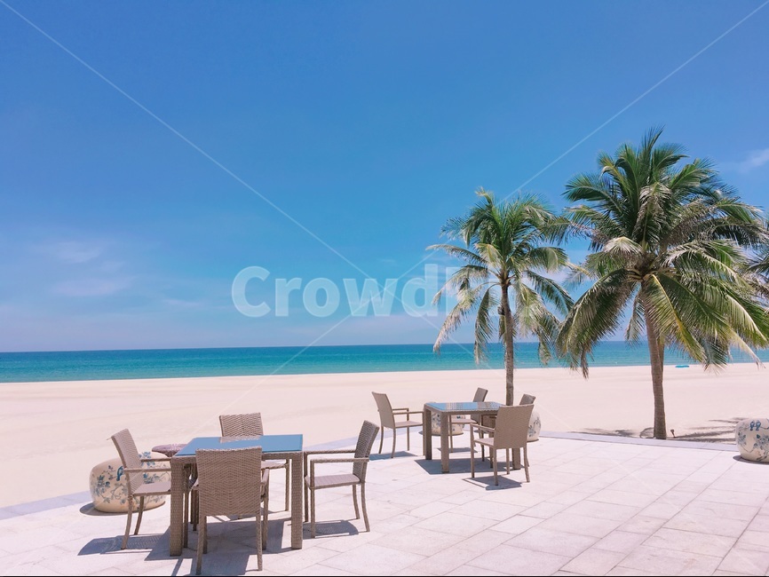 야자수,여름,하늘,바다,비치,여름,계절,summer,season,해변,바다,beach,sea,여행,휴가,traveling,vacation,trip,furniture,가구,chair,의자