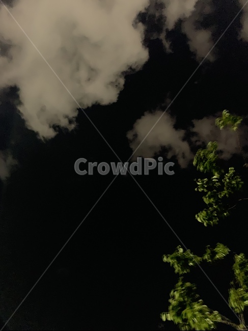nature,자연,weather,outdoors,날씨,옥외
