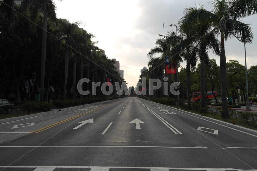 도로,대로,길,야자수,대만,차로,차선,행길,신호등,taiwan,도시,풍경,city,landscape,해외,외국,세계,foreign,oversea,world,세계도시풍경,해외도시풍경,외국도시풍경,world cityscape,교통,교통수단,traffic,transportation,road