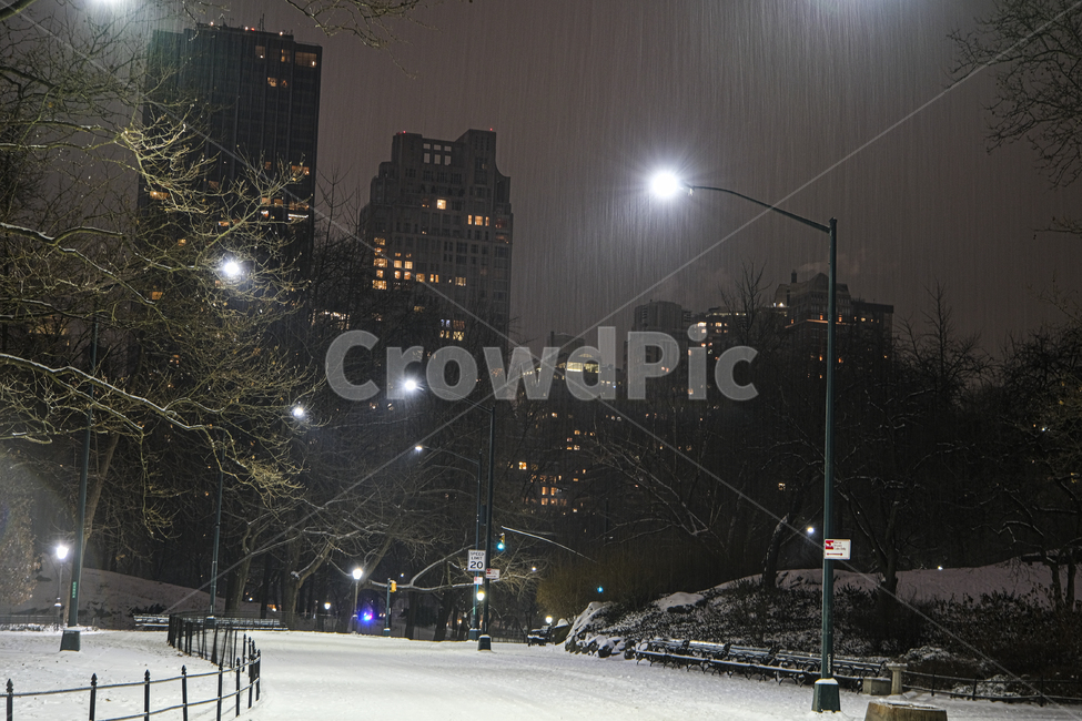 nature,자연,outdoors,storm,겨울,winter,눈,폭풍,blizzard,눈보라,뉴욕,야경,밤,newyork,centralpark,central,park,night,snow